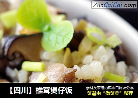 【四川】椎茸煲仔饭