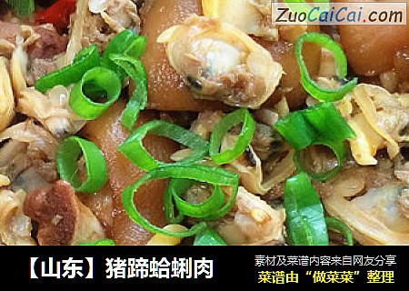 【山东】猪蹄蛤蜊肉
