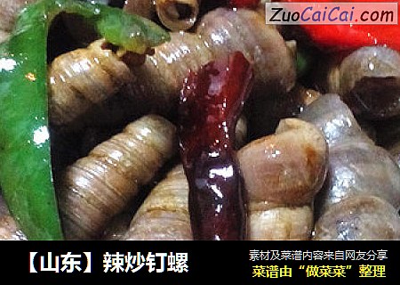【山东】辣炒钉螺