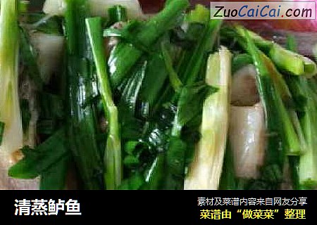 清蒸鲈鱼