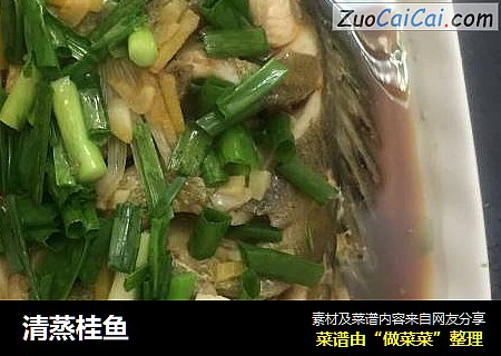清蒸桂鱼