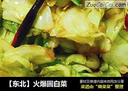 【东北】火爆圆白菜