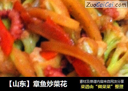 【山东】章鱼炒菜花