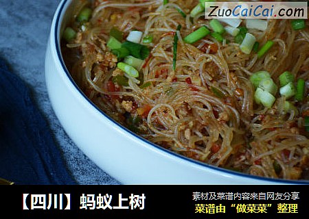 【四川】蚂蚁上树