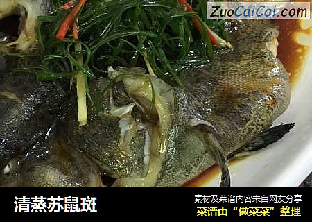 清蒸苏鼠斑