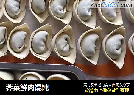 荠菜鲜肉馄饨