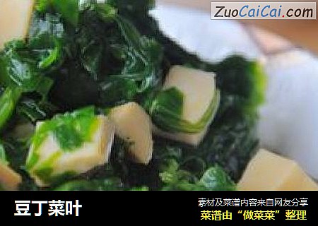 豆丁菜叶