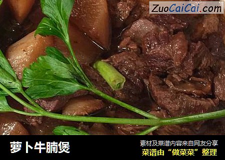 萝卜牛腩煲