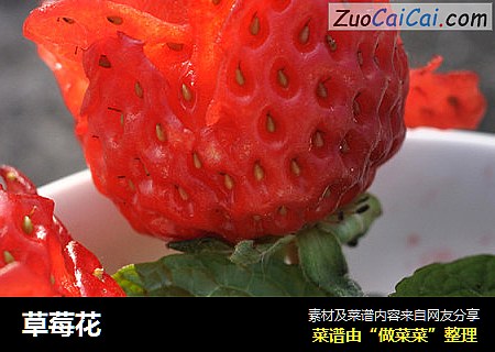 草莓花