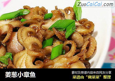 姜葱小章鱼