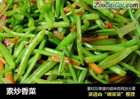 素炒香菜