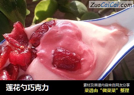 莲花勺巧克力