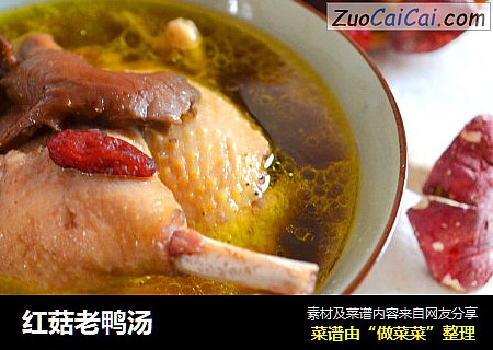 红菇老鸭汤