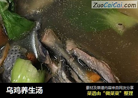 乌鸡养生汤