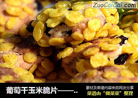 葡萄干玉米脆片——德普烘焙实验室