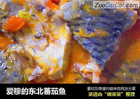 爱穆的东北蕃茄鱼