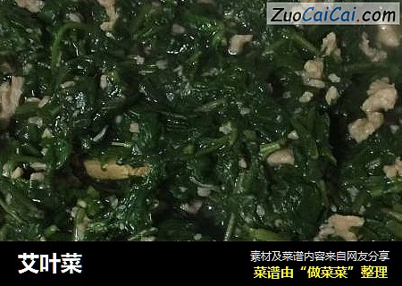 艾叶菜