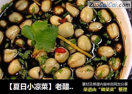 【夏日小凉菜】老醋拌花仁