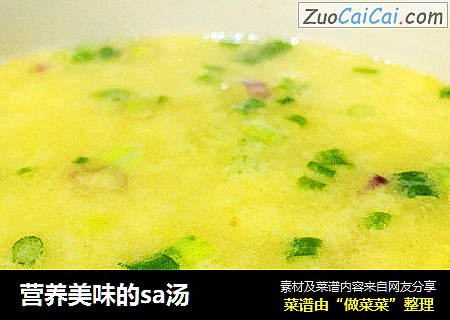 营养美味的sa汤