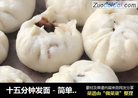 十五分钟发面－简单快手包子
