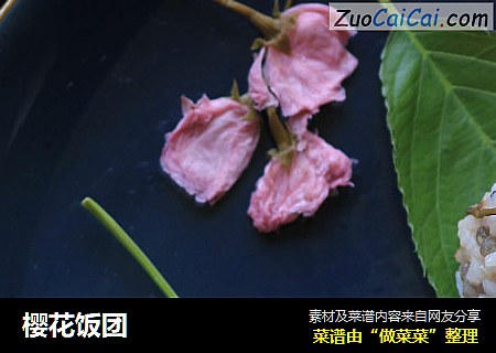 樱花饭团