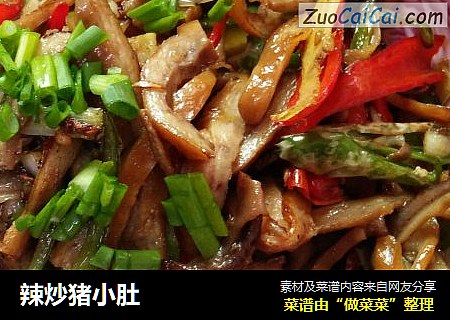 辣炒猪小肚