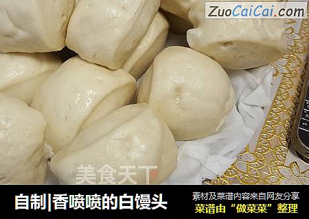 自制|香喷喷的白馒头