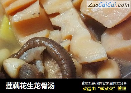 莲藕花生龙骨汤
