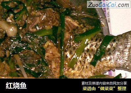 红烧鱼