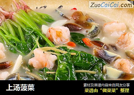 上汤菠菜