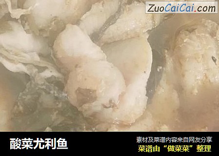 酸菜尤利鱼