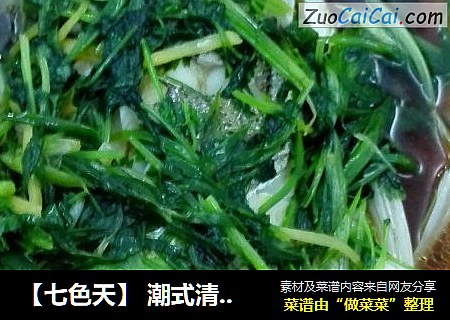 【七色天】 潮式清蒸鲈鱼
