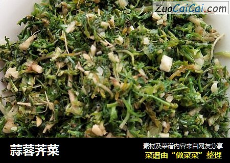 蒜蓉荠菜