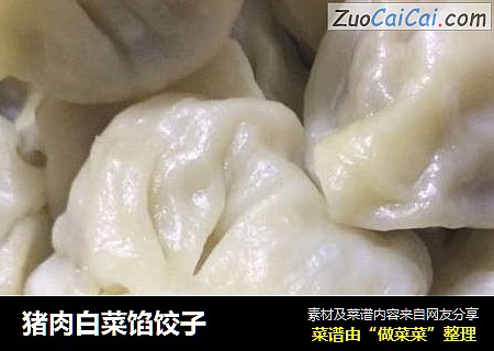 猪肉白菜馅饺子