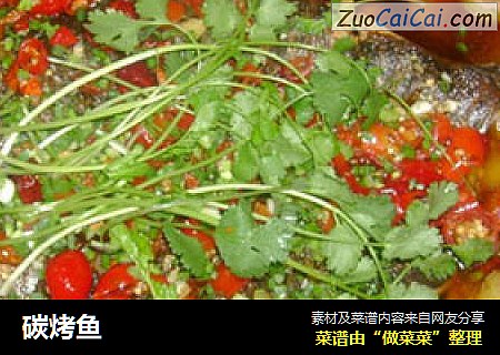 碳烤鱼