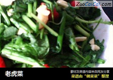 老虎菜
