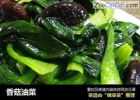 香菇油菜