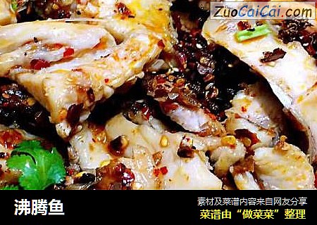 沸腾鱼