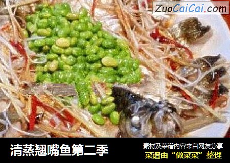 清蒸翘嘴鱼第二季