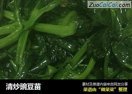 清炒豌豆苗
