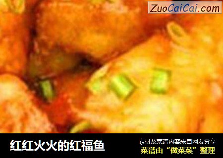 红红火火的红福鱼