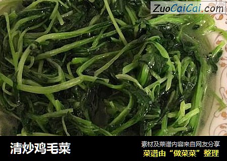 清炒鸡毛菜