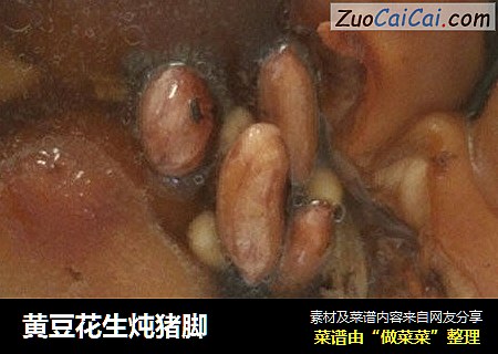 黄豆花生炖猪脚
