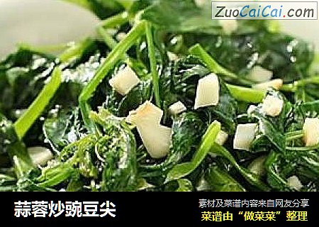 蒜蓉炒豌豆尖