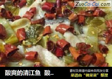 酸爽的清江鱼  酸菜与馋小江最配