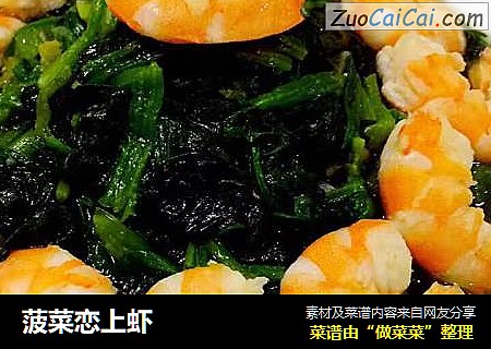 菠菜恋上虾