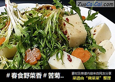 ＃春食野菜香＃苦菊奶芙沙拉
