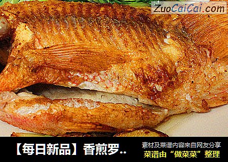 【每日新品】香煎罗非鱼