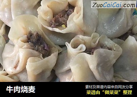 牛肉烧麦