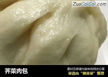 荠菜肉包